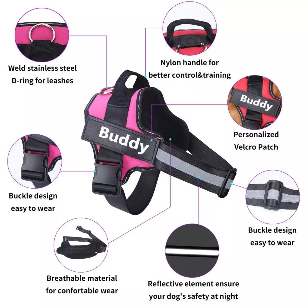 Strap N Walk-Personalized Safety Dog Harness