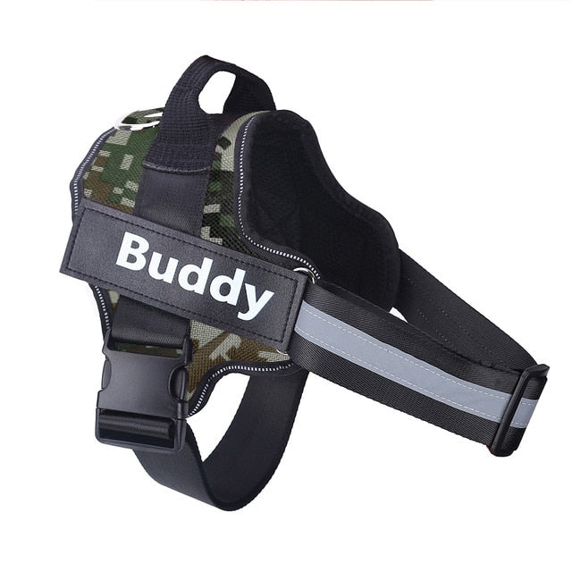 Strap N Walk-Personalized Safety Dog Harness