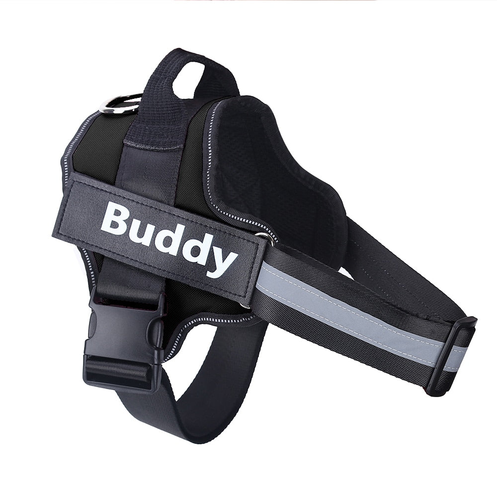 Strap N Walk-Personalized Safety Dog Harness