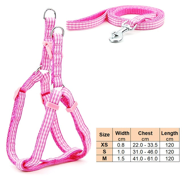 Dog Harness Leash | Cat Harness Leash | The Pets Beat