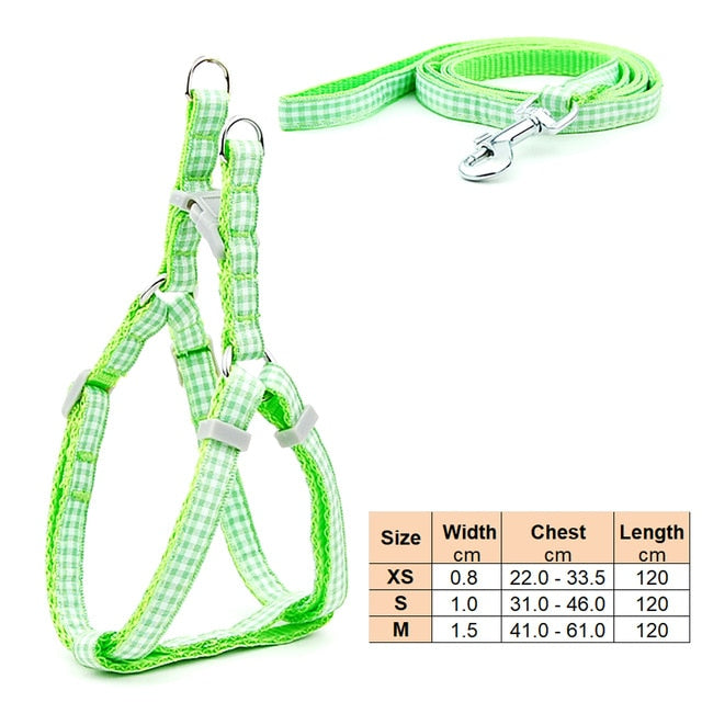 Dog Harness Leash | Cat Harness Leash | The Pets Beat