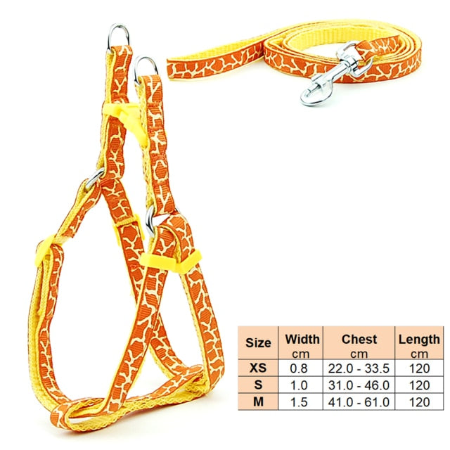 Dog Harness Leash | Cat Harness Leash | The Pets Beat