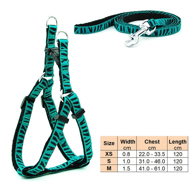 Dog Harness Leash | Cat Harness Leash | The Pets Beat