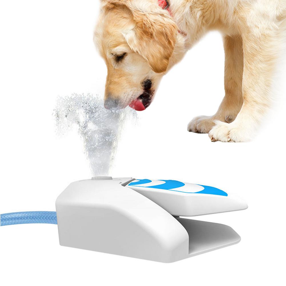 Pet Water Fountain